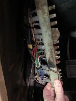 IMG_9869.jpeg