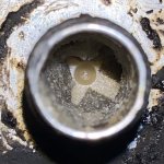 fuel pump sugar.jpeg