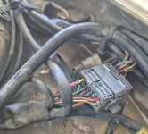 WireRot1.jpg