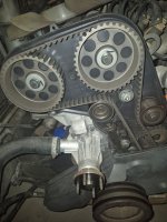 TimingBelt11.28.jpg