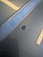 PXL_20260423_221400604.MACRO_FOCUS (1).jpg