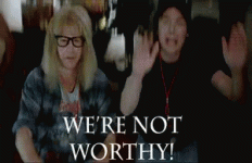 not-worthy-waynes-world[1].gif