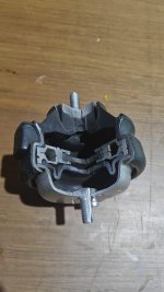 image1.jpeg